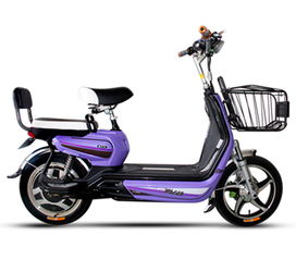 4月15號(hào)電動(dòng)車(chē)將實(shí)施新規(guī),你的電動(dòng)車(chē)真的安全嗎