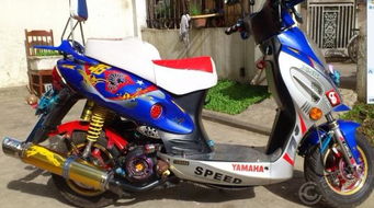 助力車(chē)的電瓶是多大的