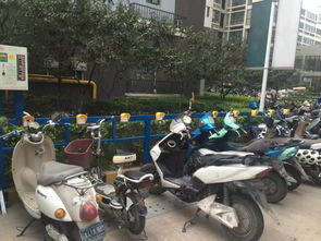 氣溫日漸回升,你掌握電動(dòng)車的正確充電方式了嗎