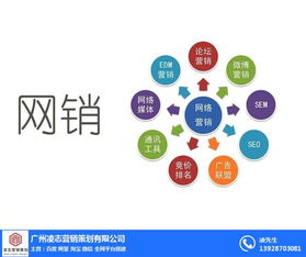 海珠區企業畫冊設計專家——凌志營銷策劃，信息系統集成服務優質商家
